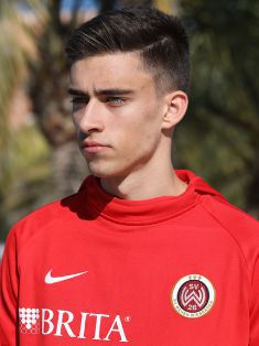 Jan Vogel